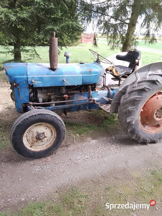 Ciagniczek ogrodniczy sam sadowniczy Szastarka