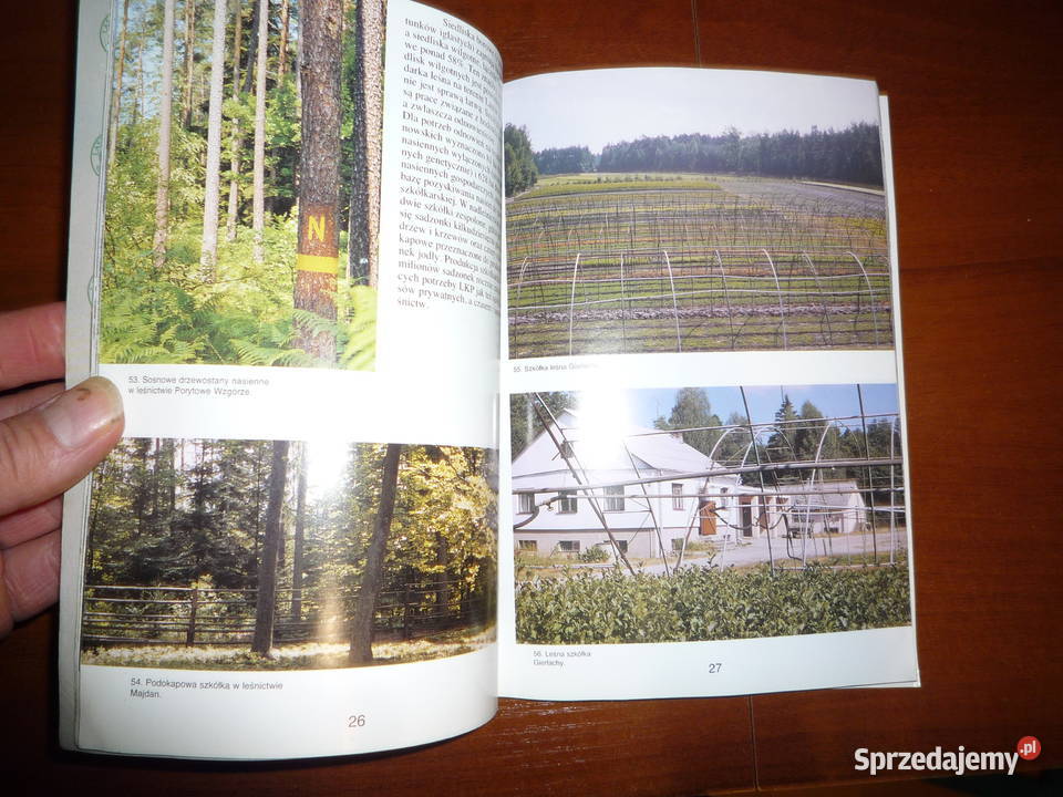 lasy janoweski Lutowiska