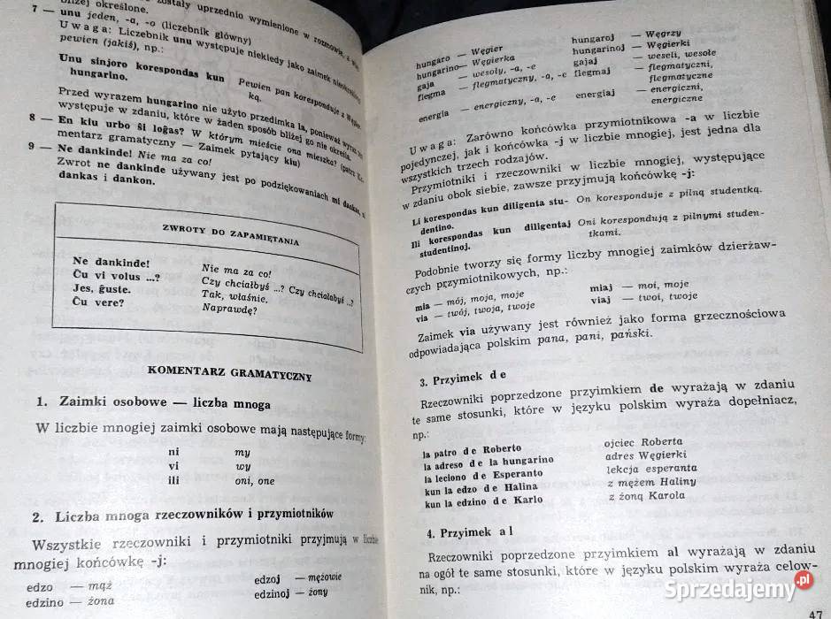 Cu vi parolas esperante Andrzej Pettyn miękka Chełm