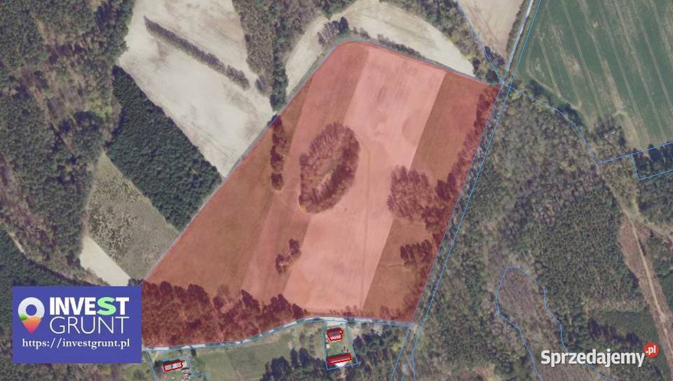 1215 ha przetarg na dzierżawę gruntów rolnych Chełmsko