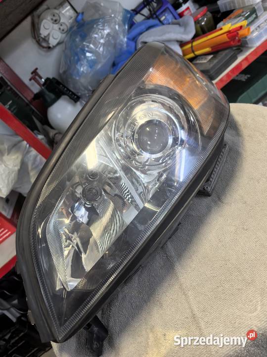 Lampy Xenony zafira a Grudziądz sprzedam