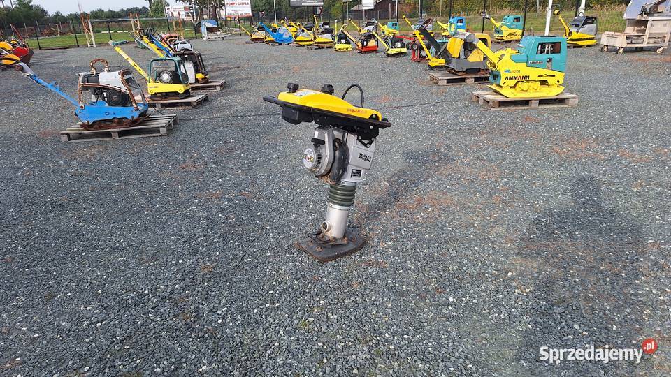 Skoczek Stopa WACKER NEUSON BS 502 plus 11in sprzedam
