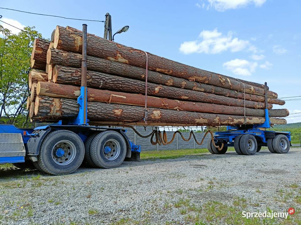 Sprzedam drewno dłużyca kłoda sosna świerk jodła Lechów sprzedam