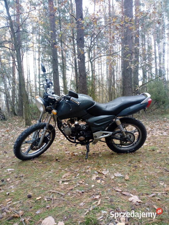 gb street 11050 łódzkie sprzedam