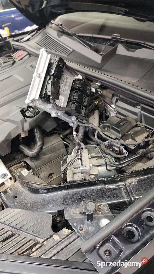 Chiptuning AdBlue EGR DPF Popsbangs kujawsko-pomorskie Wonorze