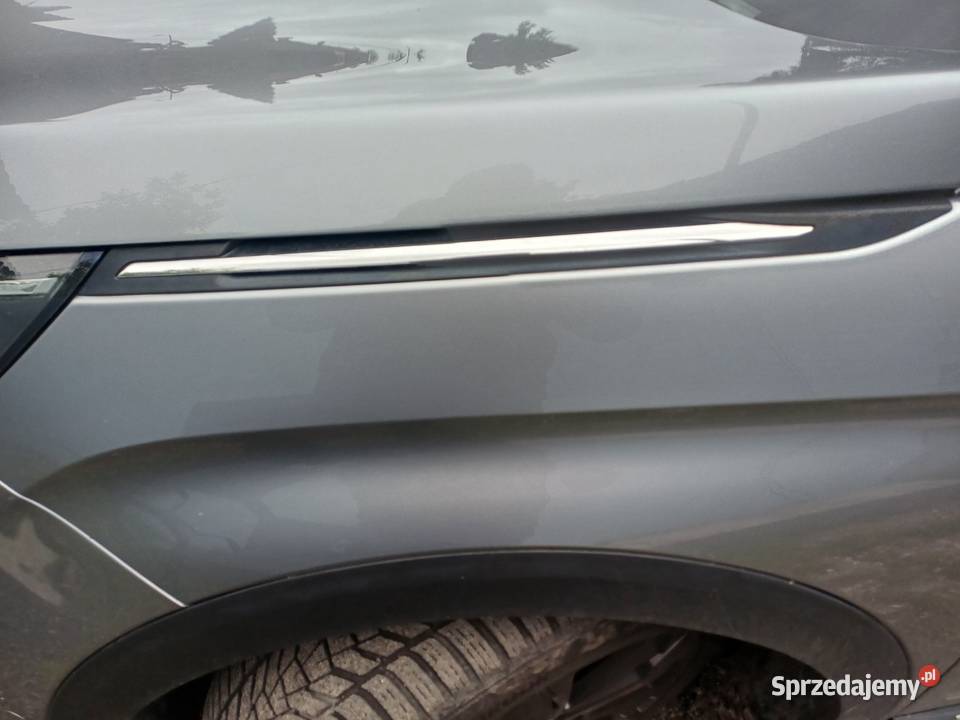 Listwa Chrom blotnika lewego 3008ii Zabrze