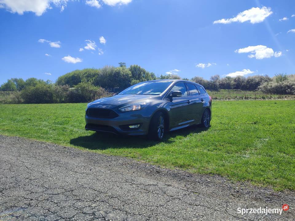 Ford Focus ST Line 15 EcoBoost nieuszkodzony Focus Luszowice