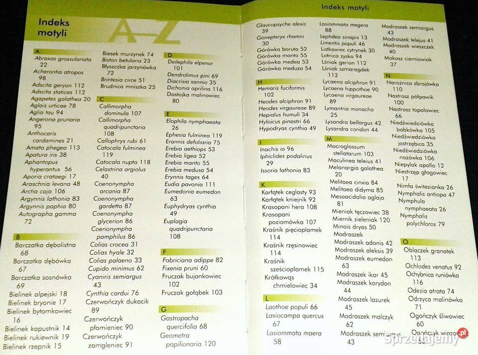 Motyle łatwe rozpoznawanie Atlas red Robert Rok wydania 2009 Chełm