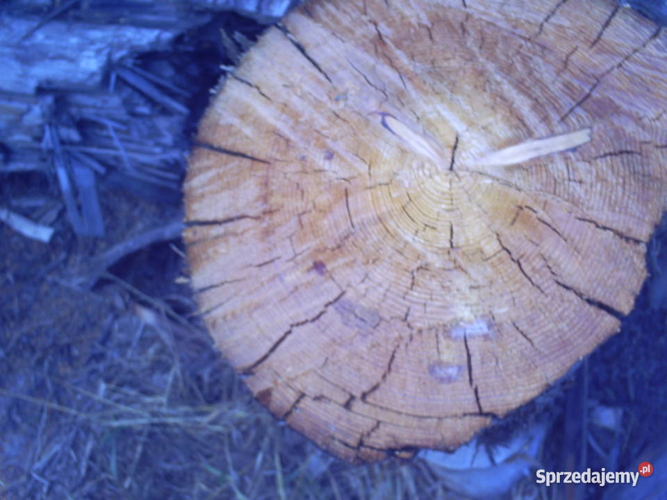 Drewno dekoracyjne stare pale sosna dąb Krasnystaw