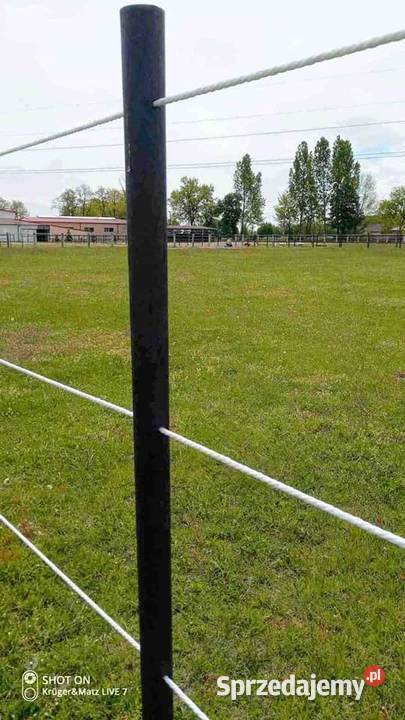 Mocne i trwałe słupki do pastucha 5x200 z Szydłowiec