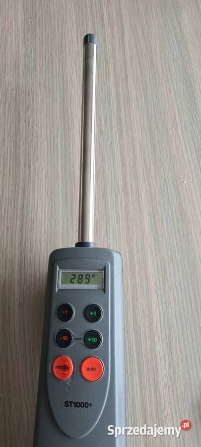 Raymariner ST1000 Gostynin