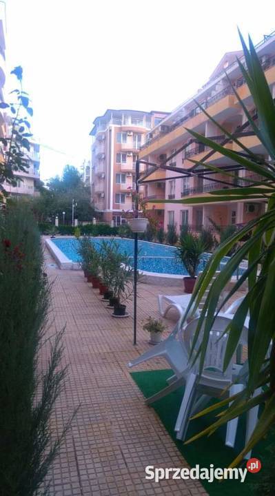 Spółka zoo NIP europejski Bułgaria lubelskie Chełm