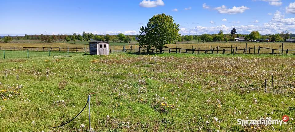 2 działki z WZ w Częstkowie k Szemuda Częstkowo