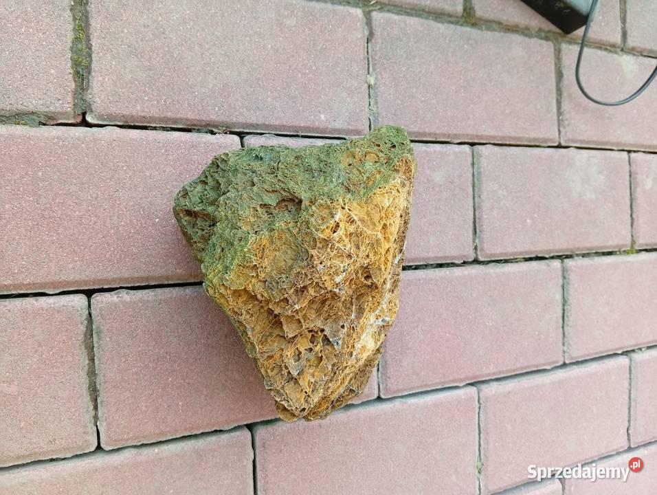 Sprzedam akwarium 60l małopolskie Łososina Dolna sprzedam