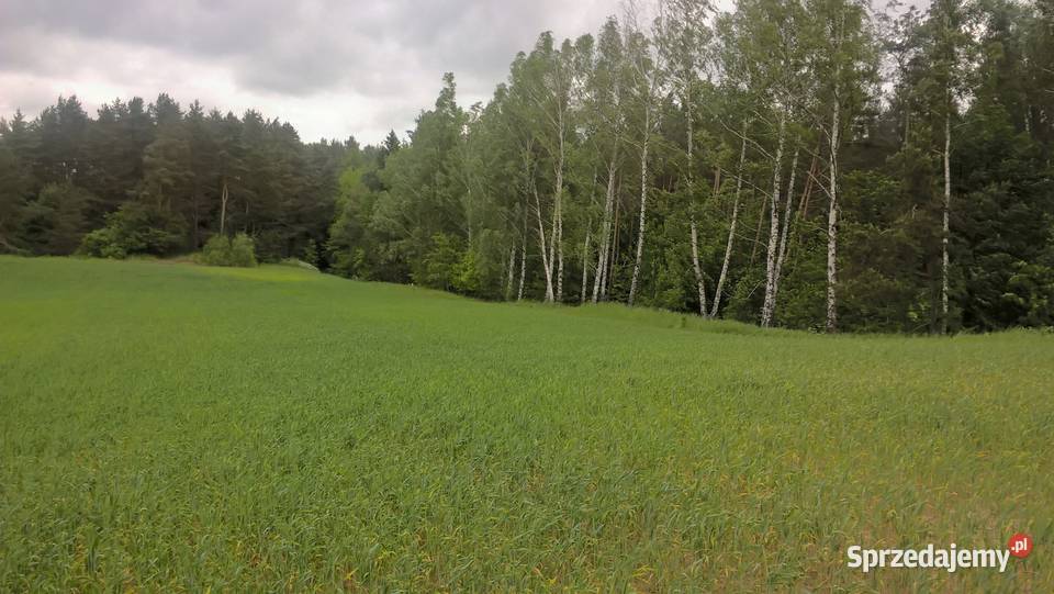 Stare Juchy działki z dojsciem do jeziora Garbas