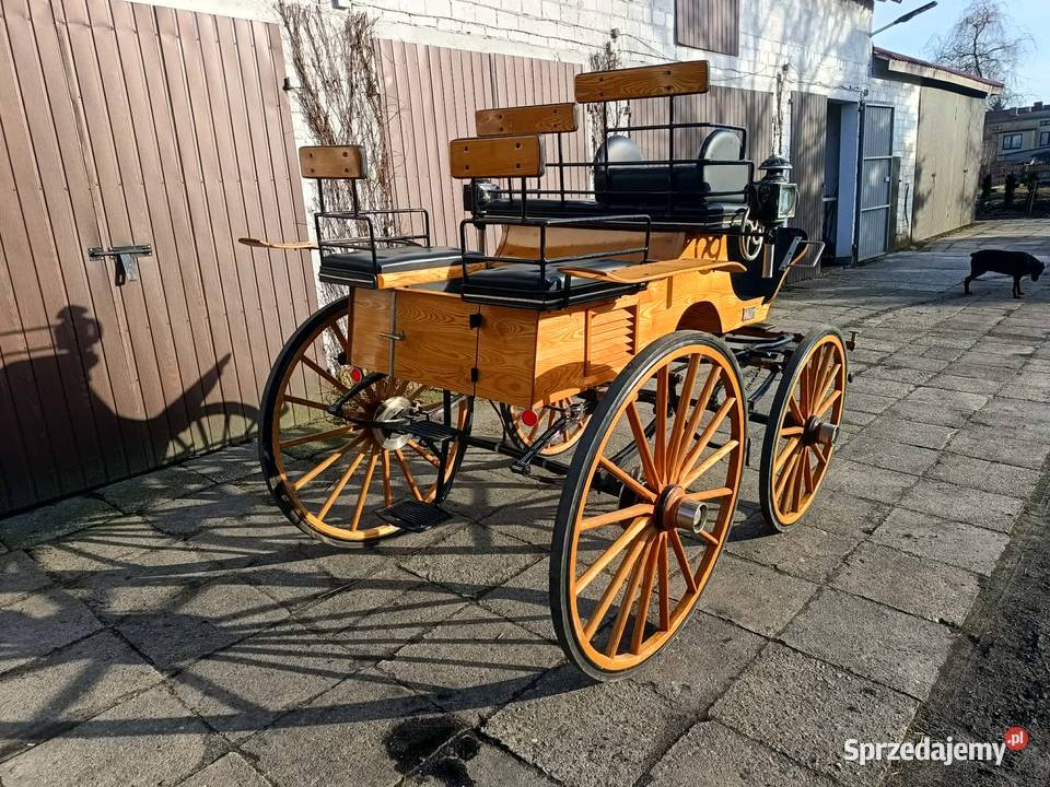 Bryczka Konna typ Sport Break Powóz Dobroń