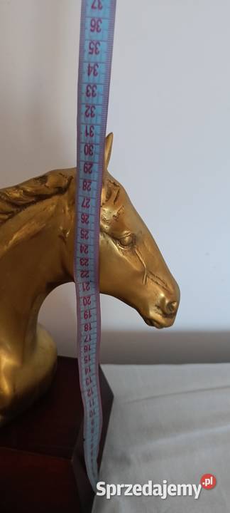 Głowy konia wykonane z mosiądzu Tarnów
