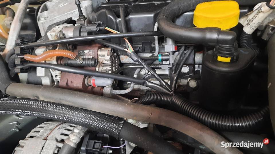 Silnik 19 DCI Renault Scenic II 160000 Maruszyna