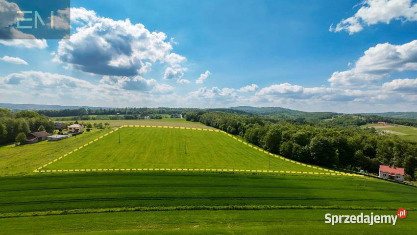 Działka Glinik Dolny 24100m2