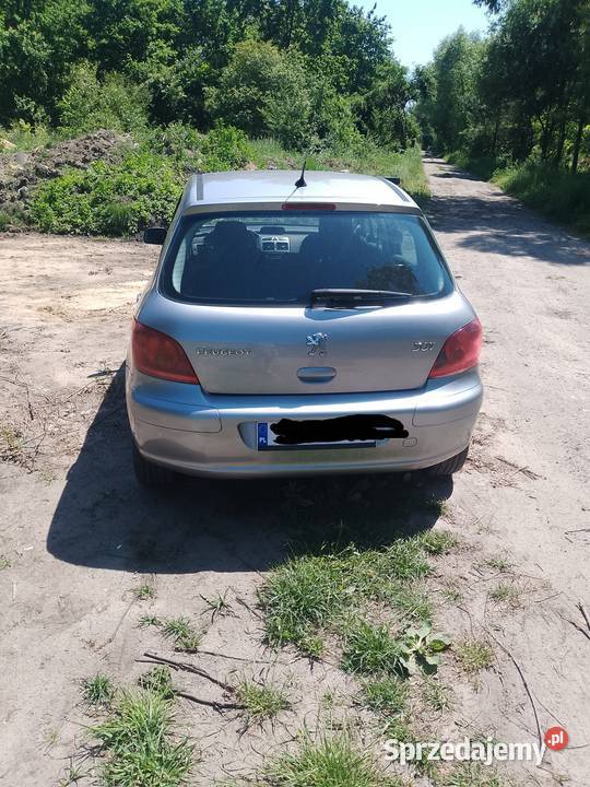 Sprzedam Peugeot 307 14 16v 2005 śląskie Zawiercie