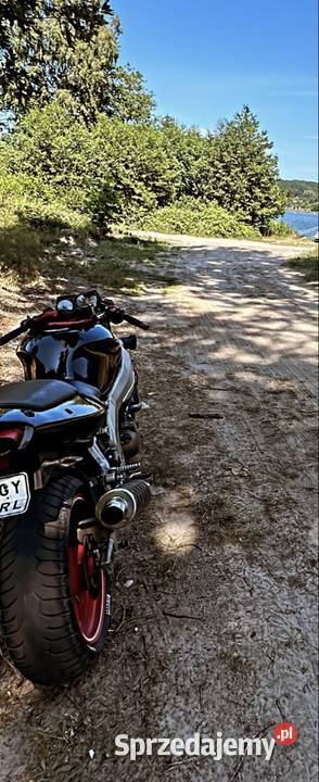 Kawasaki Ninja 600 600cm3 zachodniopomorskie Wolin