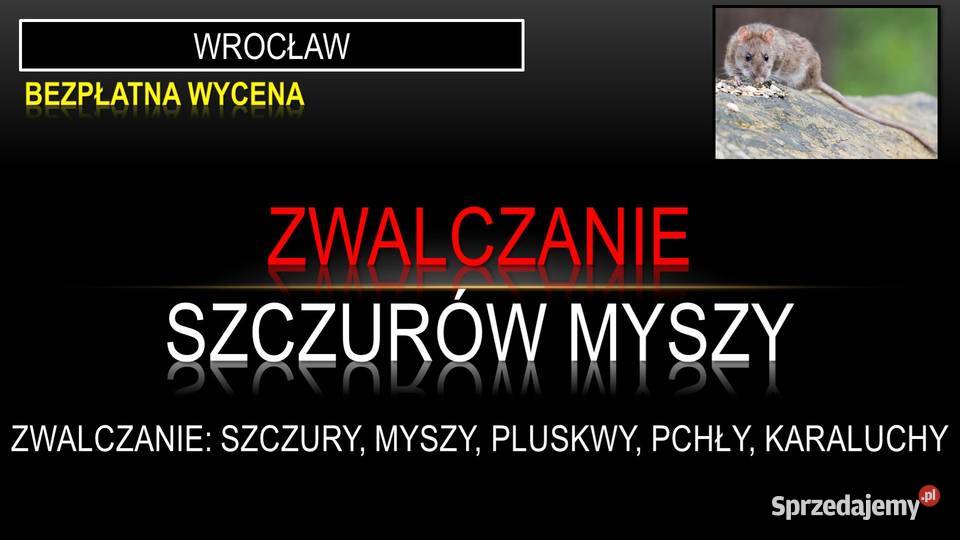 Zwalczanie szczurów deratyzacja Wrocław