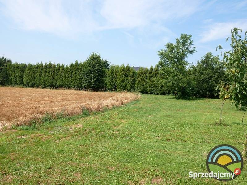 Pisary gm Zabierzów widokowa 99arowa działka 9900m2 sprzedam