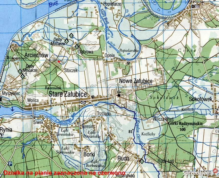 Bezpośrednio działka w Arciechowie z domkiem 40m Arciechów