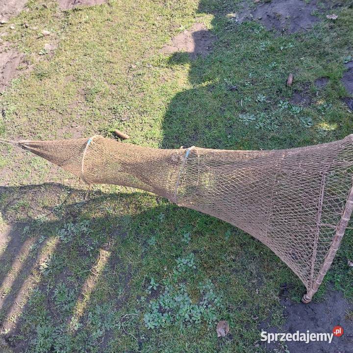 Żaki rybackie 100 Gdańsk