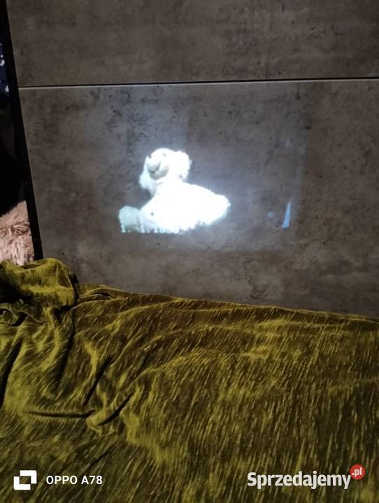 Projektor SHARP Rudna