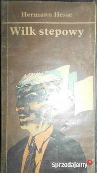Wilk stepowy H Hesse świętokrzyskie Sandomierz