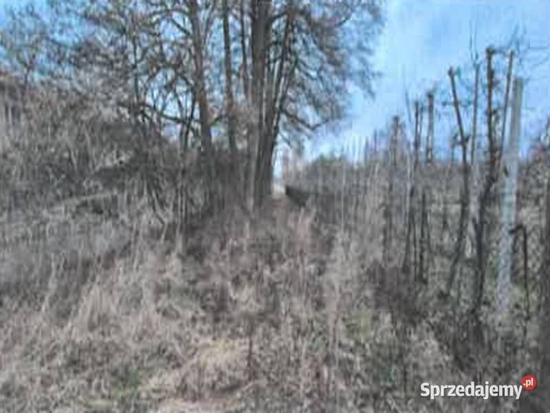 Syndyk masy upadłości sprzeda działkę Szczęsna