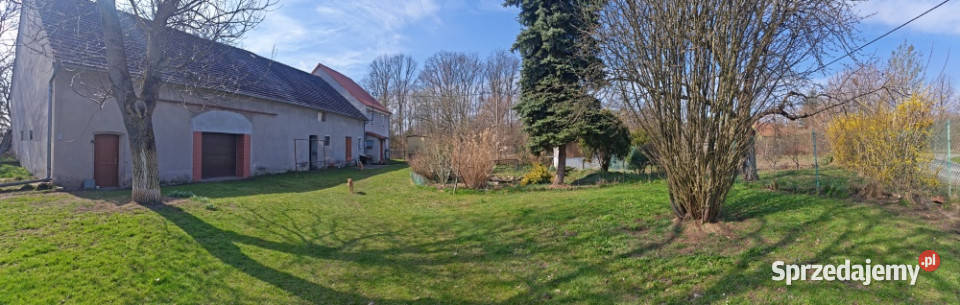 Sprzedam dom w spokojnej okolicy niedaleko lasu Trójca