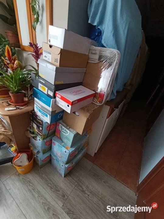buty nowe używane damskie męskie dziecięce mix wielkopolskie