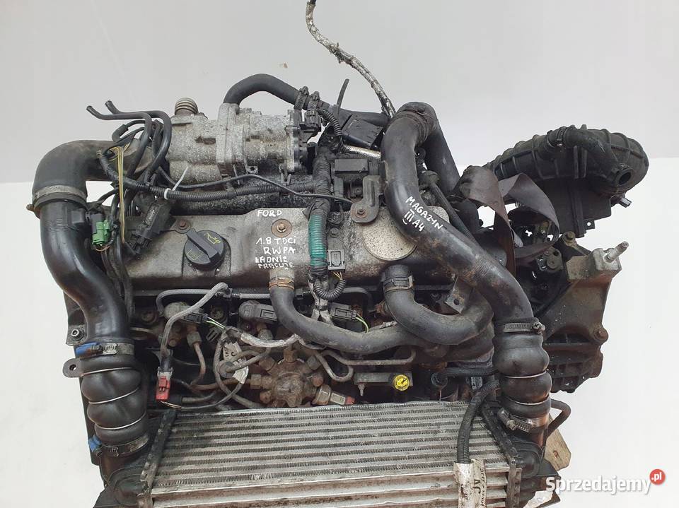 SILNIK KOMPLETNY Ford Transit Connect 18 TDCI lubelskie Rudka