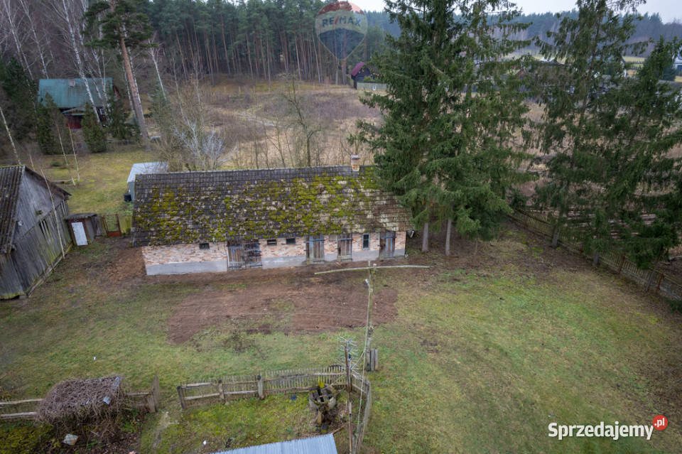 SIEDLISKO Z POTENCJAŁEM W SERCU NATURY 70m2 Brzuza sprzedam