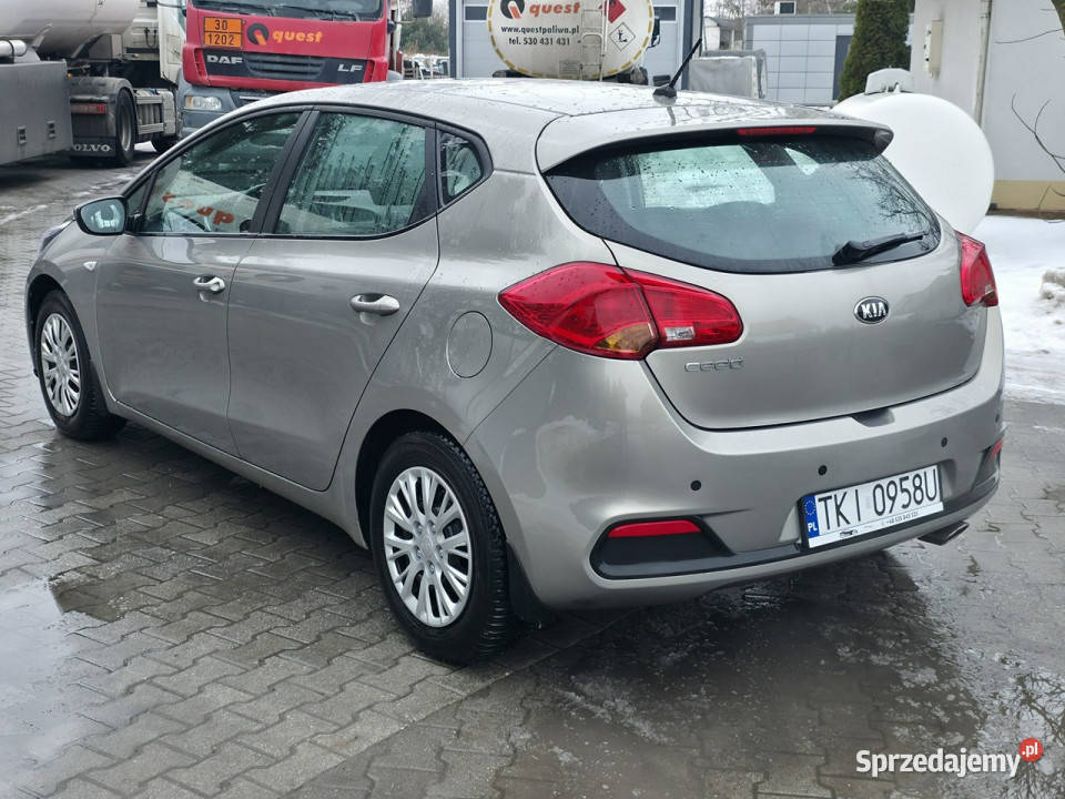 Kia Ceed 14 Benzyna Serwisowany Gwarancja Bogate świętokrzyskie Piekoszów