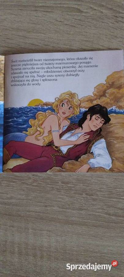 Mała syrenka lubelskie Lublin