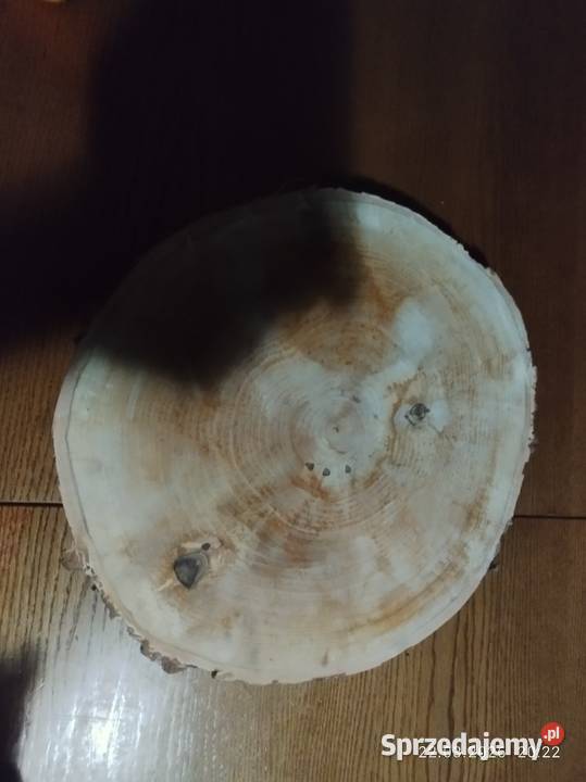 Plastry brzozy do dekoracji wysyłka kujawsko-pomorskie Szubin