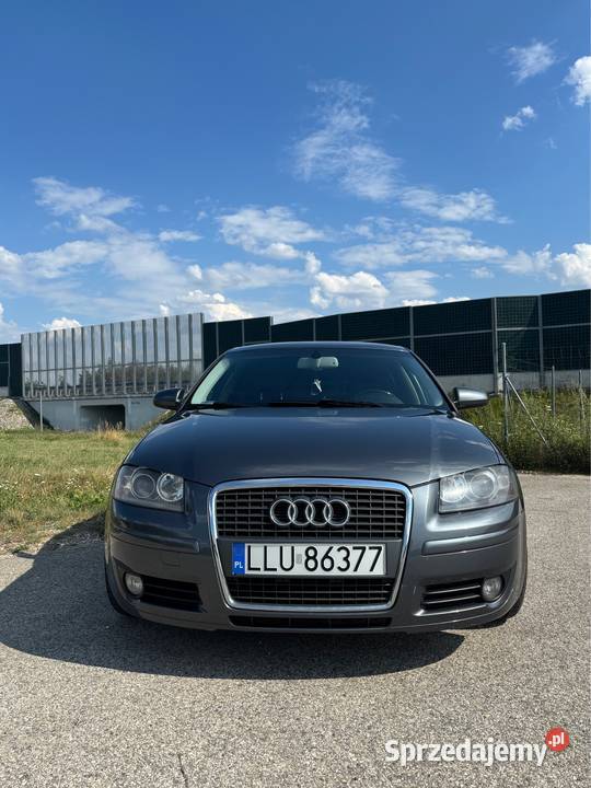 Audi A3 8P Sportback 20 TDI 2006 Dębica