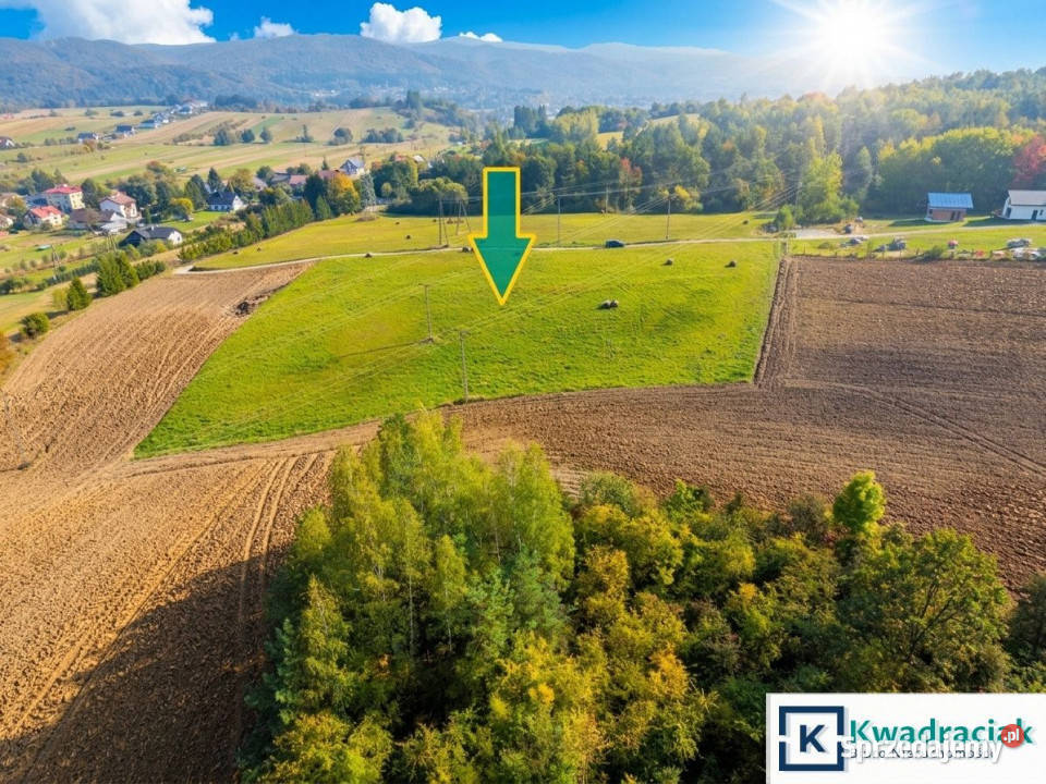 Do sprzedaży działka 3683m2 Trepcza Sprzedaż