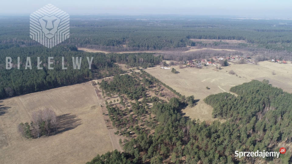Działka Świętajno 2133m2 warmińsko-mazurskie