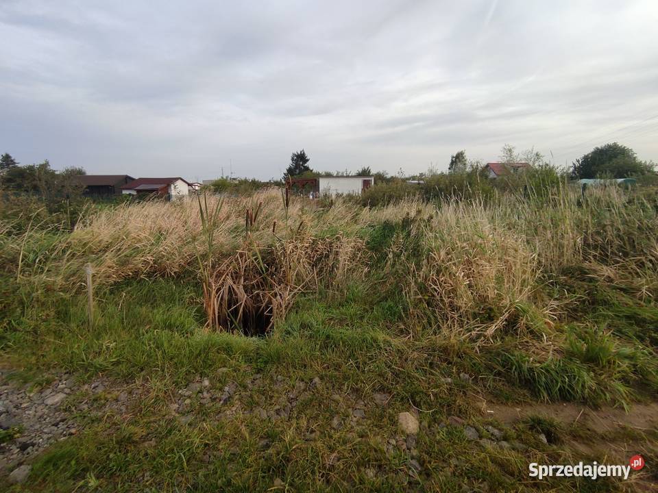 Sprzedam działke ROD Gryf 304m2 sprzedam