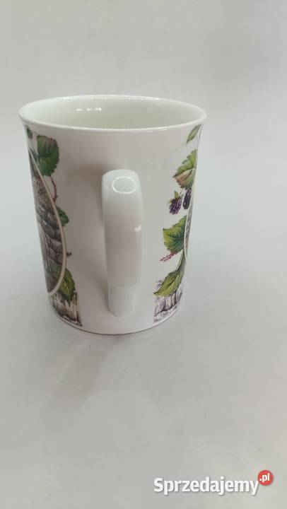 Kubek England pies owczarek collie Zamość