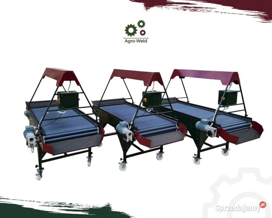 AGROWELD Stół selekcyjny rolkowy do cebuli wielkopolskie Środa Wielkopolska