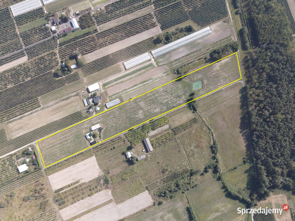 Gospodarstwo Rolne Długowola 28500m2 Grunty i działki mazowieckie sprzedam