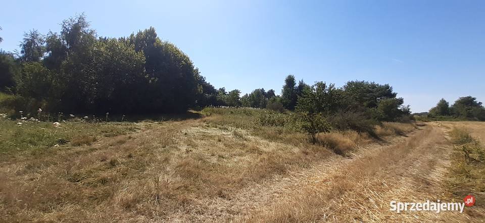 Działka morzem 3600 m2 Darłowo 19 Dąbki 20 Dąbrowa