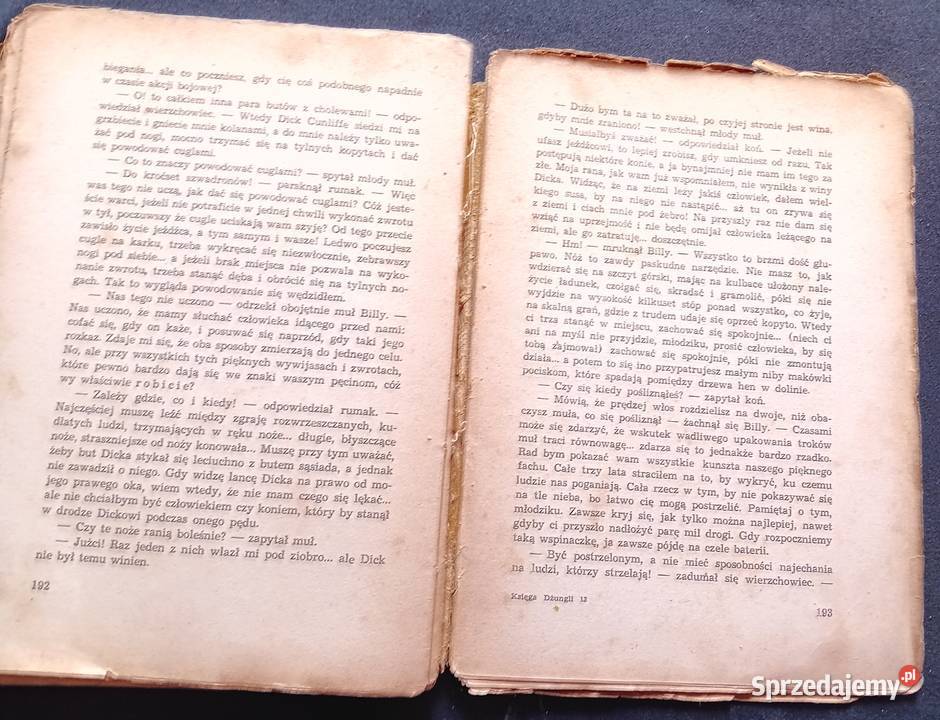 Rudyard Kipling Księga dżungli Wyd Polskie R wielkopolskie Koźminek