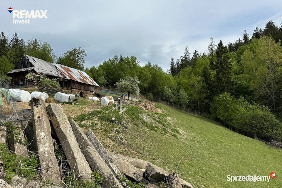 Istebna 66 arów dom staw widok