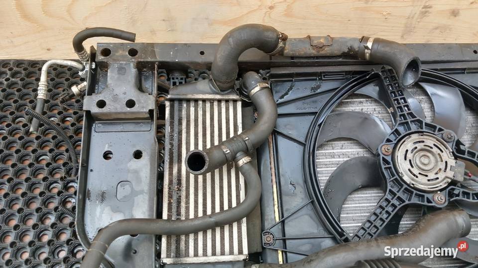 FORD KA MK2 13 TDCI PAS PRZEDNI KOMPLET Pasy przednie i tylne Zbierkowo sprzedam